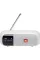 Акустична система JBL Tuner 2 White (JBLTUNER2WHT)