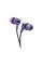 Гарнітура Canyon CNS-CEP4P Purple