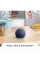 Amazon Echo Dot (5th Gen) Smart Speaker with Alexa Deep Sea Blue