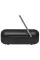 Акустична система JBL Tuner 2 Black (JBLTUNER2BLK)
