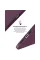 Чохол-накладка Armorstandart Icon2 для Apple iPhone 12 Pro Max Plum (ARM60575)