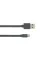 Canyon USB - Lightning 0.96м Dark Grey (CNS-MFIC2DG)