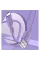 Кабель ColorWay USB - micro USB (M/M), soft silicone, 2.4 А, 1 м, Purple (CW-CBUM044-PU)