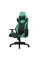 Крісло для геймерів 1stPlayer WIN101 Black-Green