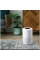 Очиститель воздуха Levoit Smart Air Purifier Core 200S (HEAPAPLVSEU0064)