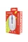 Мишка Canyon M-10 USB White Lavender (CNE-CMS10WL)