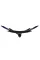 Монітор Asus 39" ROG Swift PG39WCDM OLED Black Curved 240Hz