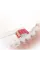 Насадка для зубної щітки Sencor SOX 016 White