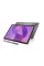 Планшет Lenovo Idea Tab TB336FU 8/128GB Luna Grey + Pen (ZAFR0462UA)