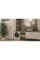 Haier HW50-BP12307