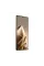 Смартфон Infinix Note 50 Pro X6855 12/256GB Titanium Grey