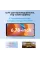 Oscal Tiger 12 12/256GB Dual Sim Cloudwing Grey