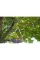 Сучкоріз для зелених гілок Gardena EasyCut 680 B, 42 мм
