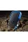 Внешний жесткий диск Apacer AC631 1TB