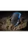 Apacer AC631 2TB Black/Blue